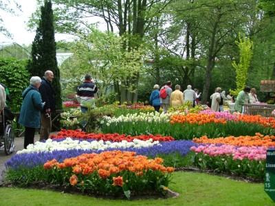 Da Lat Flower garden