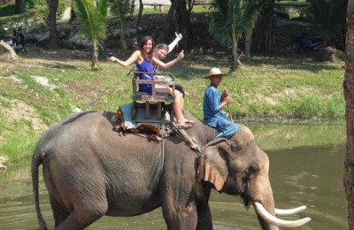 Dalat Elephant Ride Eco Tour