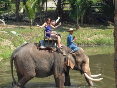 Dalat Elephant Ride Eco Tour