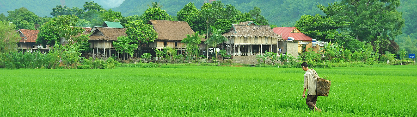 Mai Chau Homestay