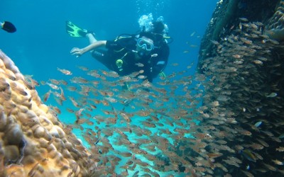 Nha Trang Diving and Snorkeling half day 3