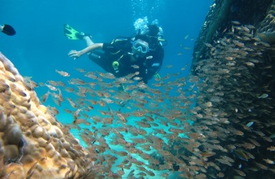 Nha Trang Diving and Snorkeling half day 3