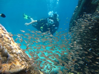 Nha Trang Diving and Snorkeling half day 3