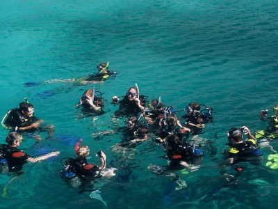 Nha Trang Diving and Snorkeling half day