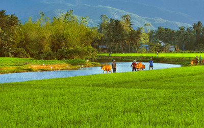 Nha Trang Experience Coutryside and relax