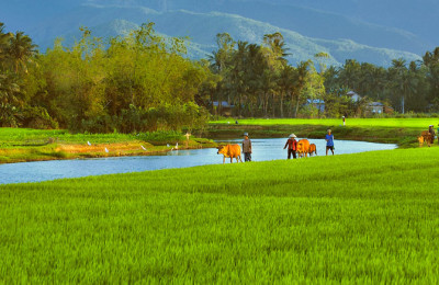 Nha Trang Experience Coutryside and relax