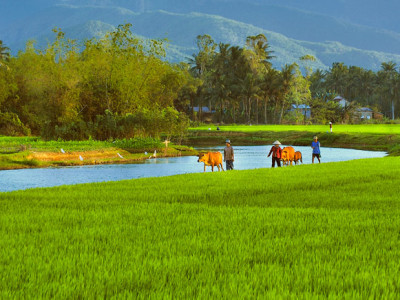 Nha Trang Experience Coutryside and relax