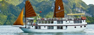 Phoenix cruise halong bay