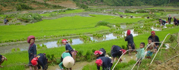 Sapa trekking tour by bus