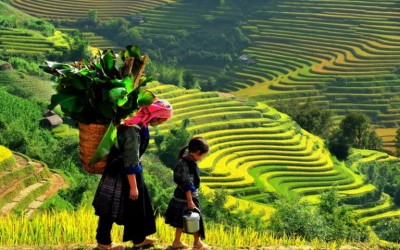 Sapa daily tours