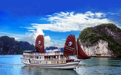 Viola Cruise Halong bay