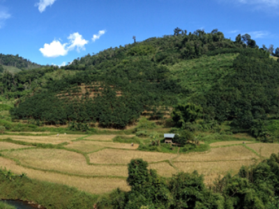 Laos