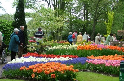 Da Lat Flower garden