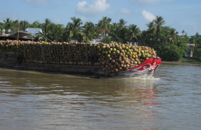 Mekong delta 3