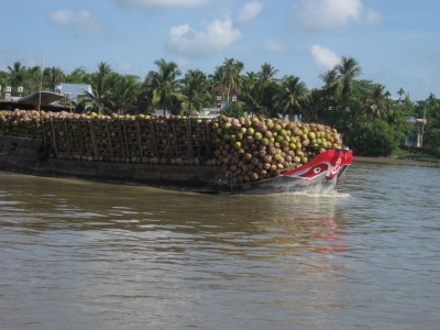 Mekong delta 3