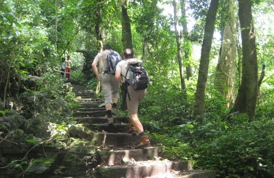 Trekking Cuc Phuong in Ninhbinh