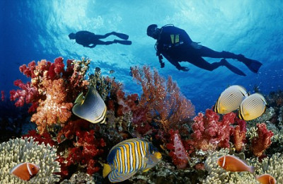 Diving tour in Phu Quoc island 2