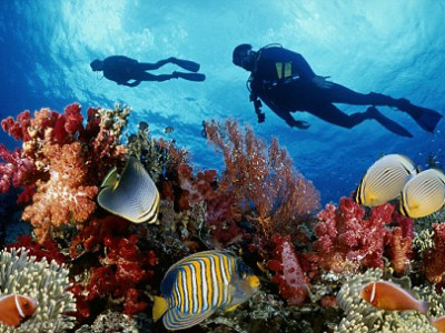 Diving tour in Phu Quoc island 2