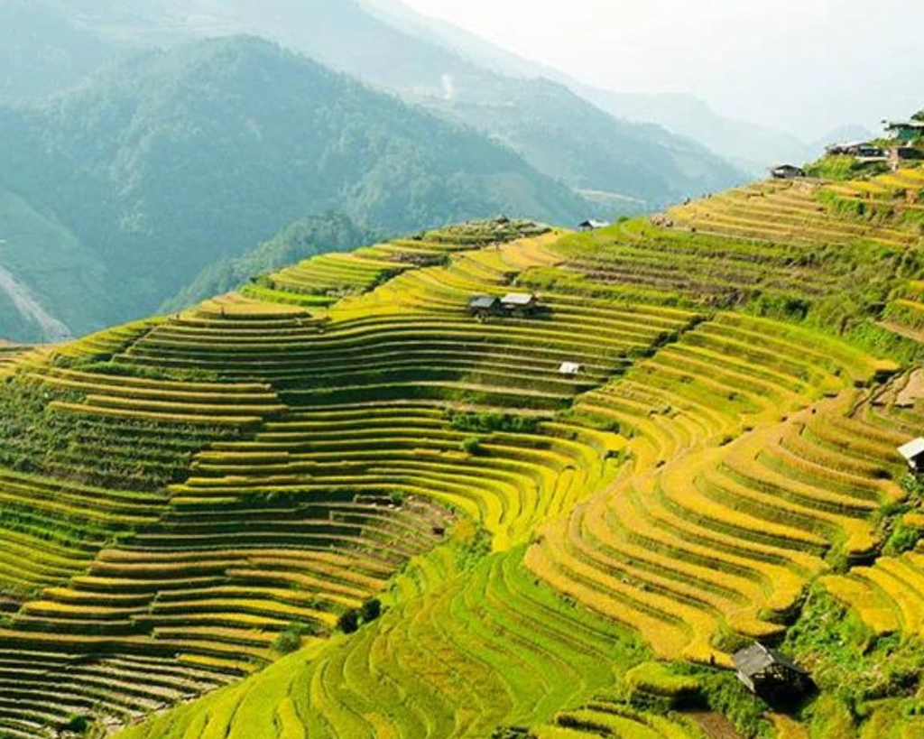 Sapa Trekking 2 days – Homestay