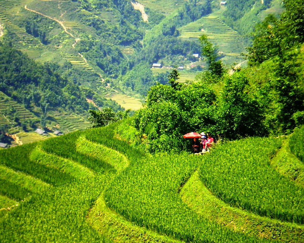 Sapa Valley Trekking Full day