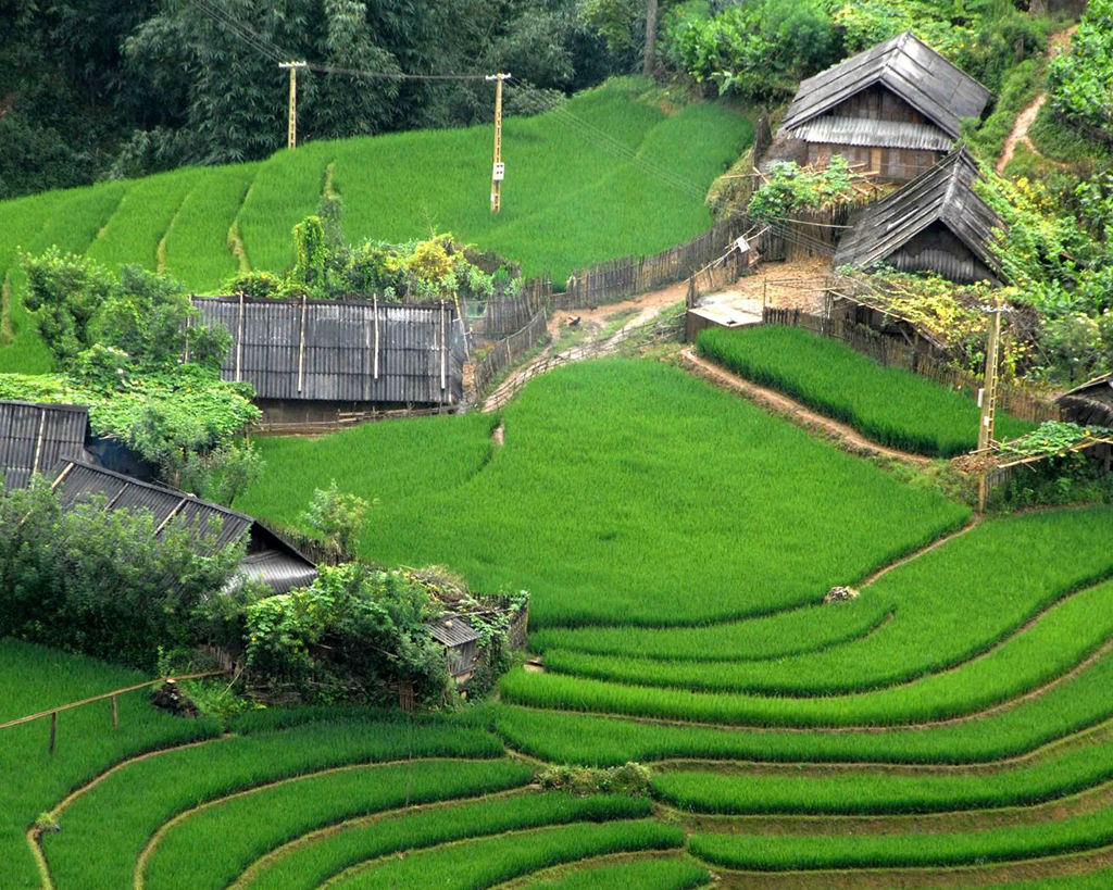 Hidden Trail to a Village of Red Dao 2 days