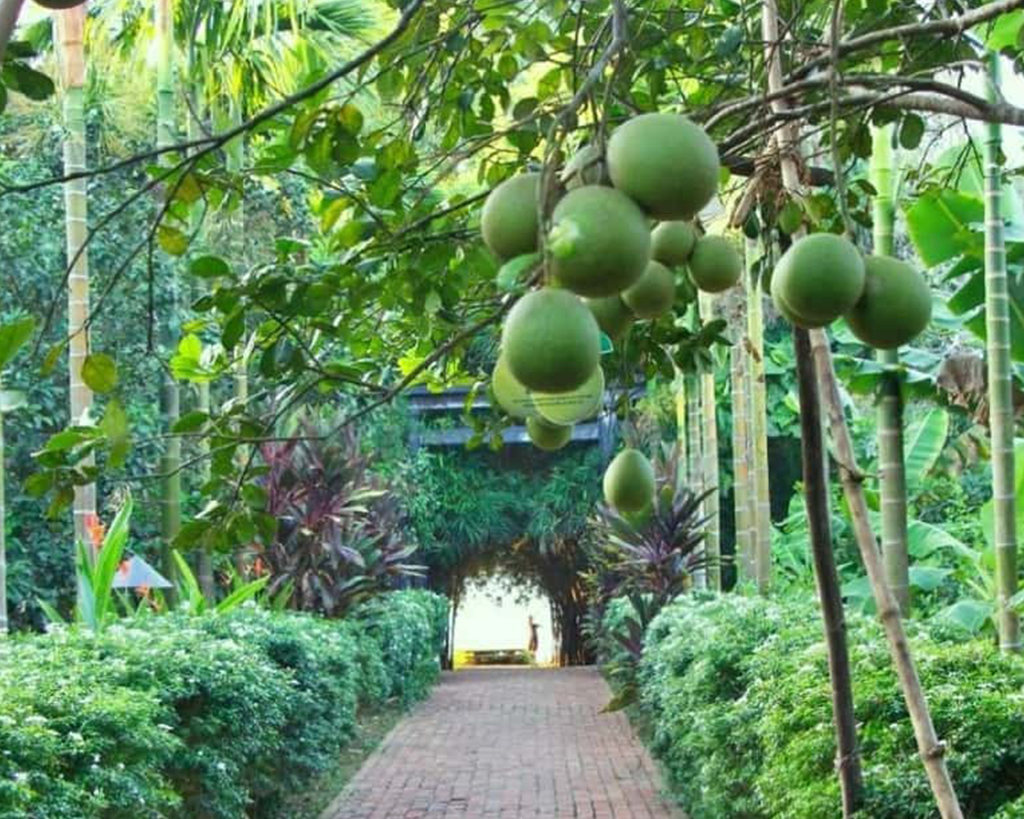 Cooking Class at Thuy Bieu village Full Day