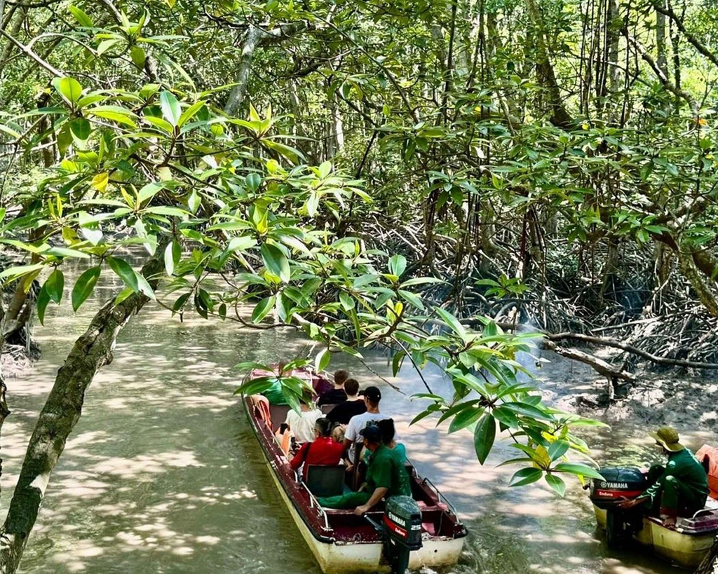 Can Gio Mangrove Forest Tour by Luxury Speedboat