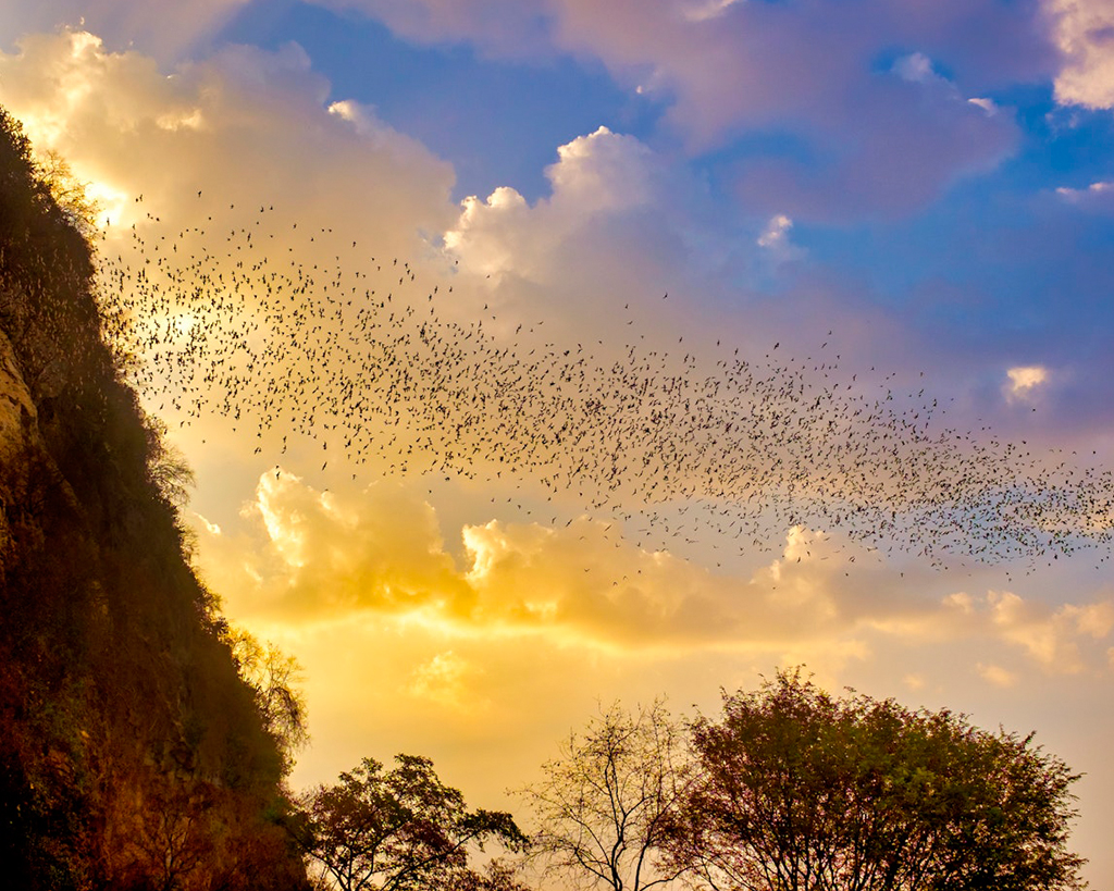 Bat Cave & Enjoy Sunset half day