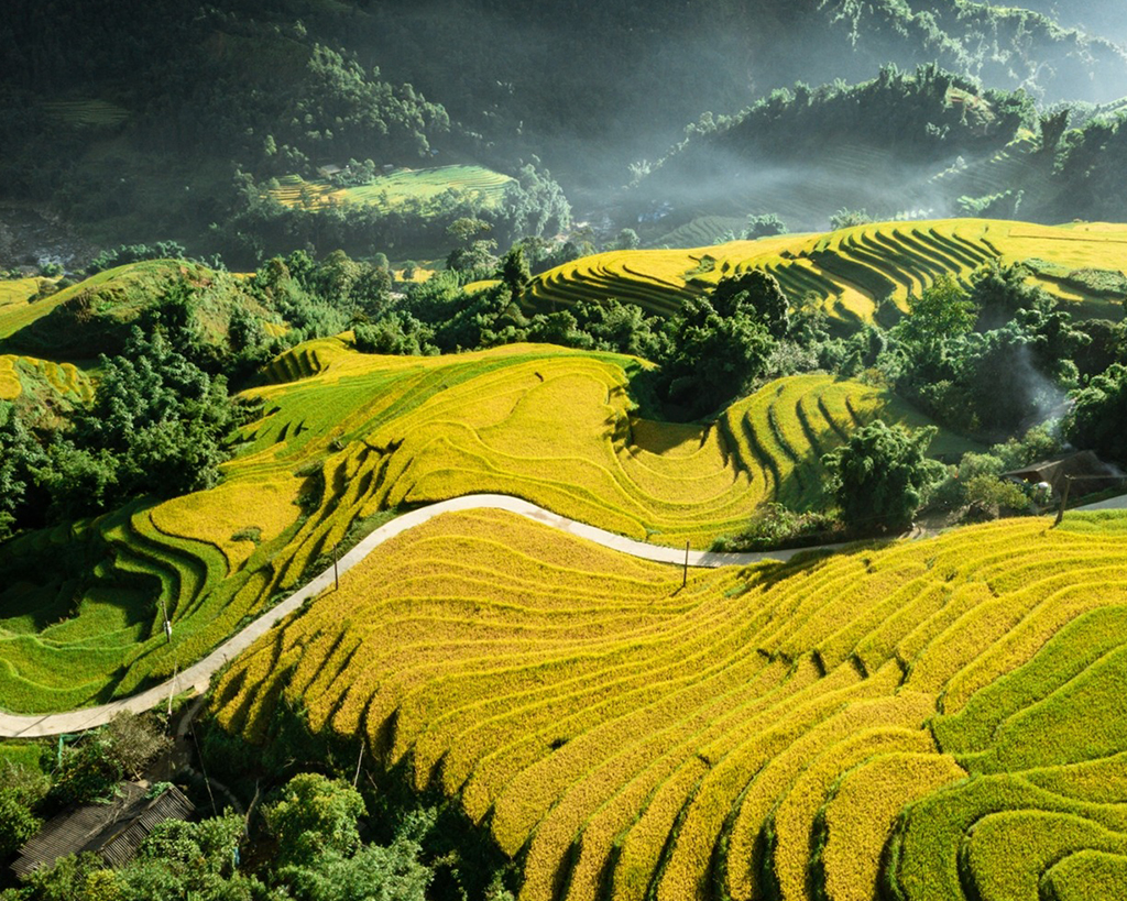 Sapa Trekking and Halong Bay by Bus 5 days