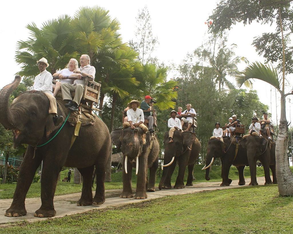 Experience Elephant Village full day