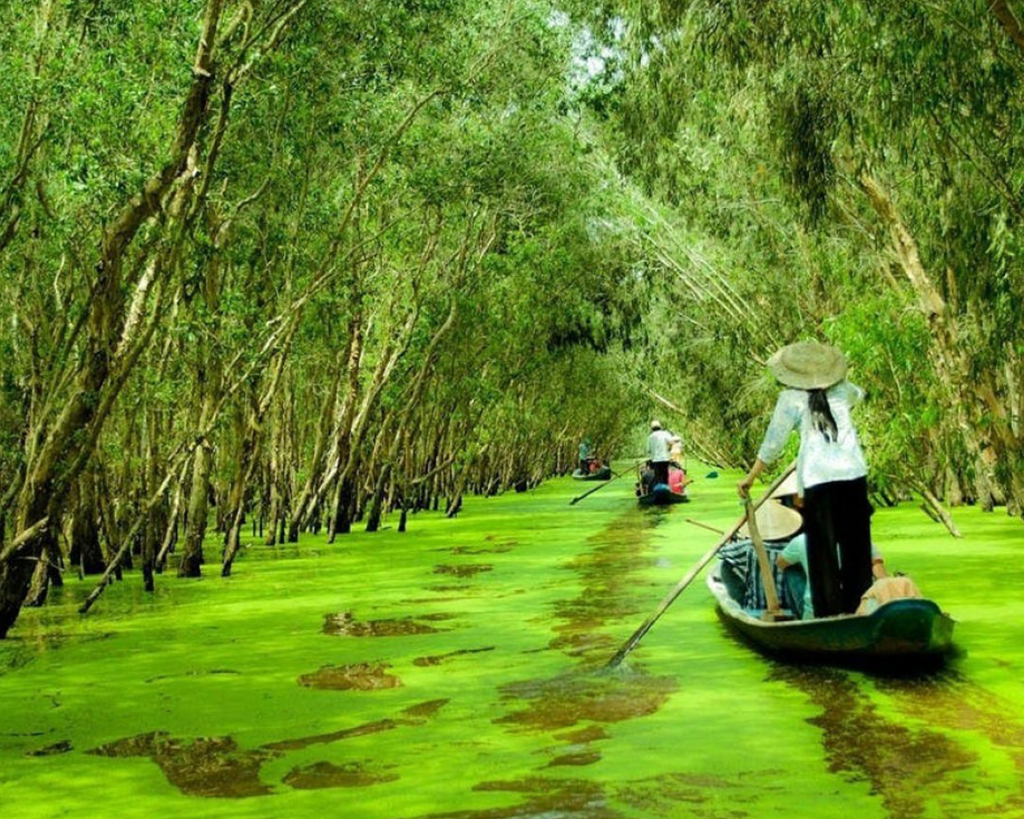 Adventure Real Vietnamese Food 12 days