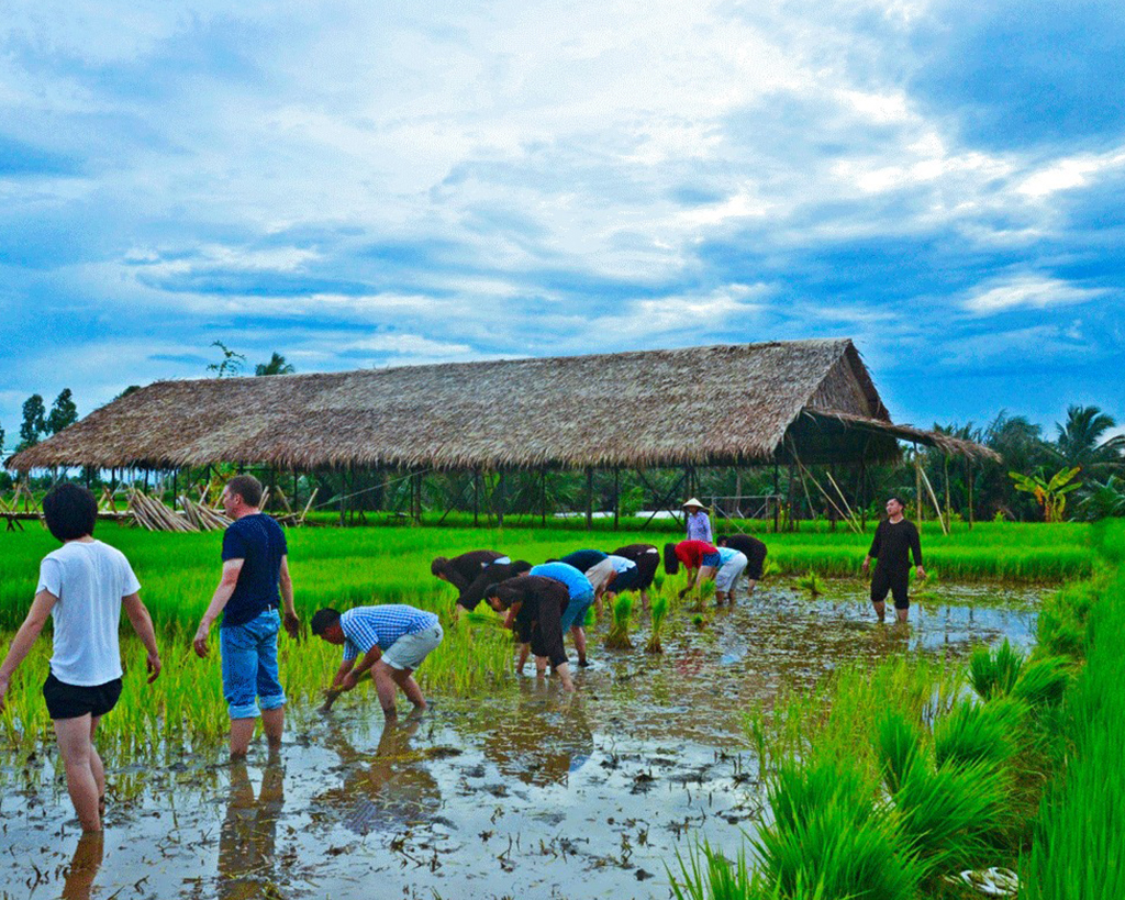 Life as A Farmer in Cam Thanh Village