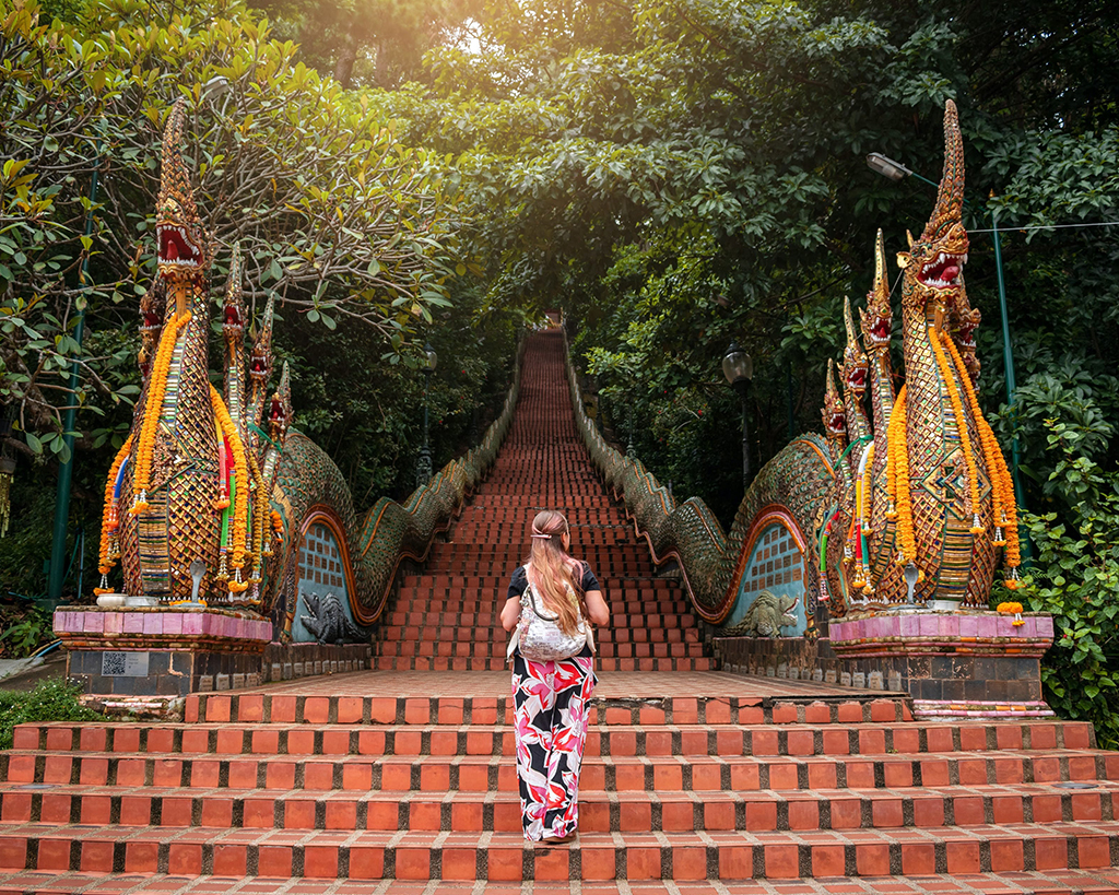 Chiang Mai City & Temple Half day