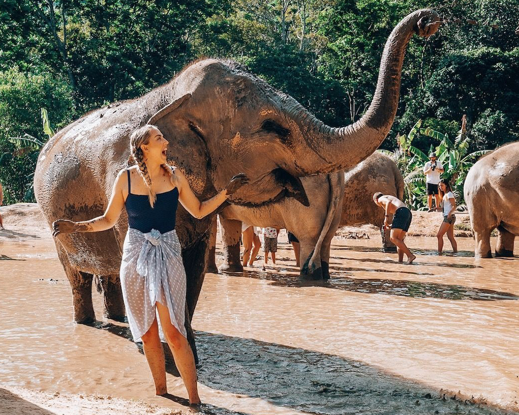 Phuket Elephant Sanctuary Interact